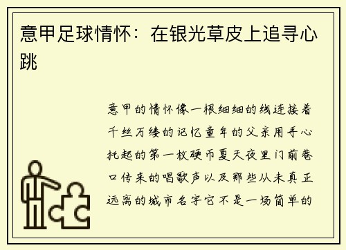 意甲足球情怀：在银光草皮上追寻心跳